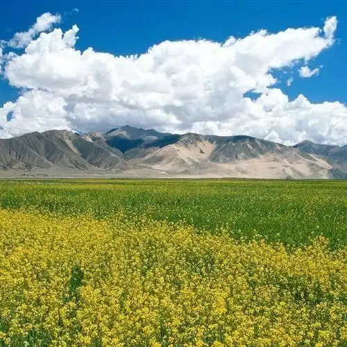 【奢品】2022最美风景头像,精美高清蓝天白云图片-小虾米