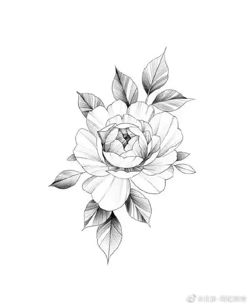 纹身分享##纹身设计##北京周忆刺青