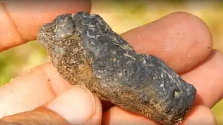 全世界最昂贵的大便,老外花一千万买下,网友:有钱人都这么重口味吗?