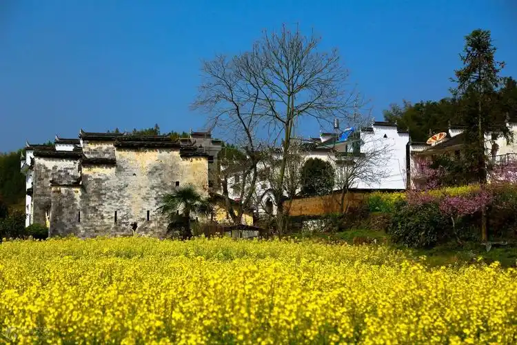 为什么去江西旅游的人多,旅游收入却那么少?