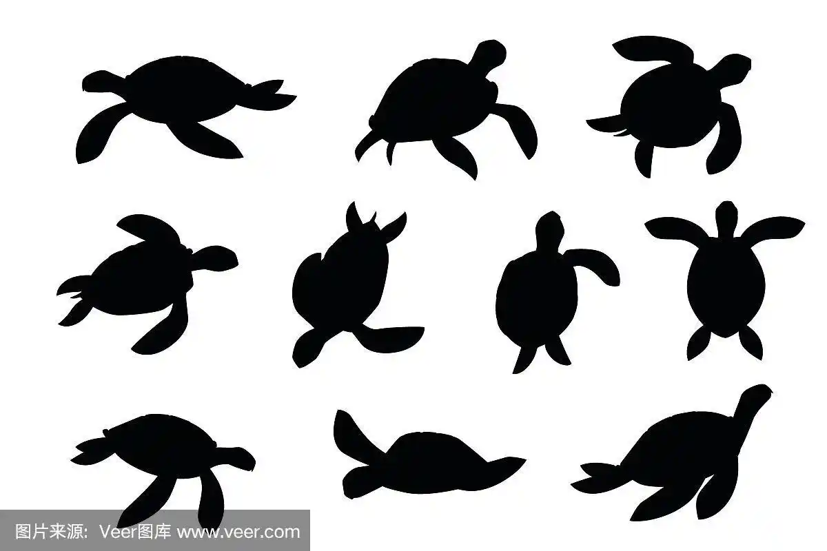 黑色剪影大海龟卡通可爱的动物设计海洋乌龟游泳在水平面矢量插图孤立