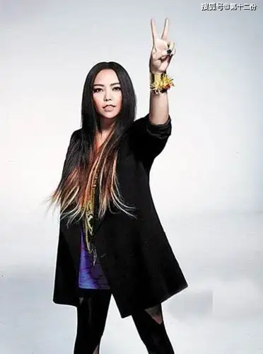 曾经是歌坛女神 47岁体重突破200斤 网友称不自律的人生太可怕_张惠妹