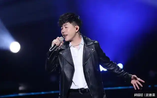 披哥3胡彦斌为什么夺不了冠他的咖位被夸大了