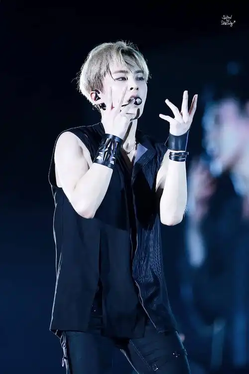 收集到xiumin金珉锡