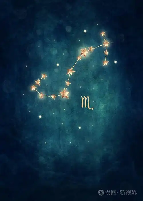 水瓶座的星座