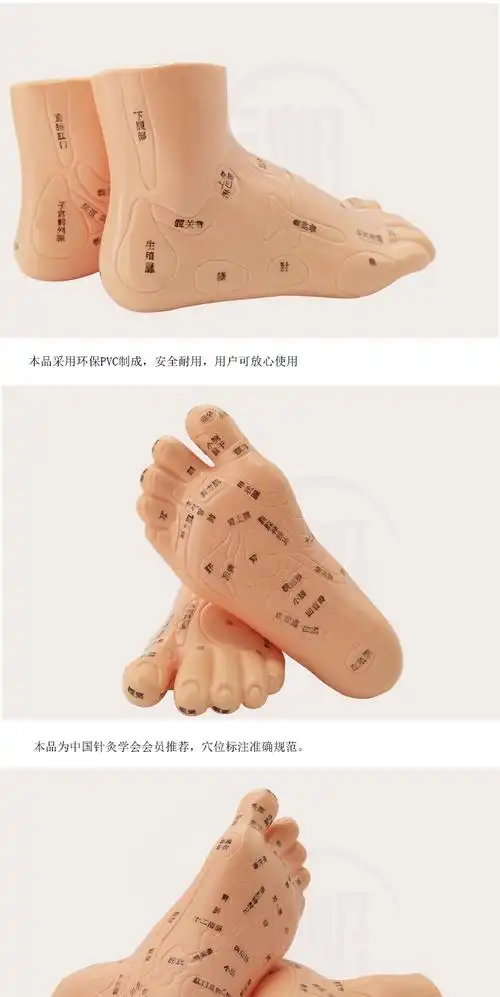 丰帆经络通清晰足底反射区模型脚底按摩点穴足部经络穴位图脚模形足疗