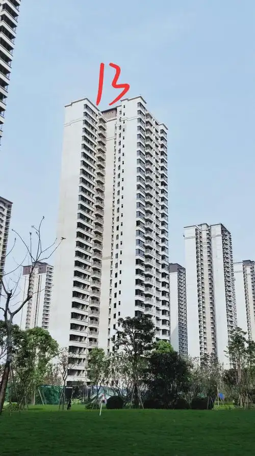 13栋听说是楼王,进度稍微比小高层慢一点,外墙还没有做