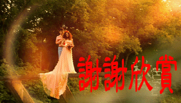 639_365gif 动态图 动图