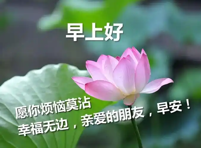 原创夏天大家早上好祝福语图片表情大全早晨好图片动态开心句子