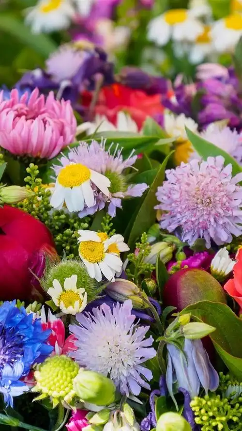 五颜六色的花,花束 iphone 壁纸