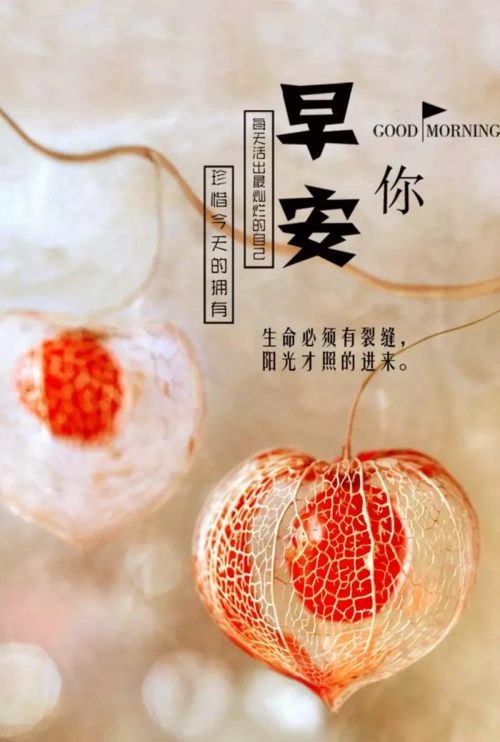 适合发朋友圈早安的句子,早安正能量句子带图片,看了心情美美哒!