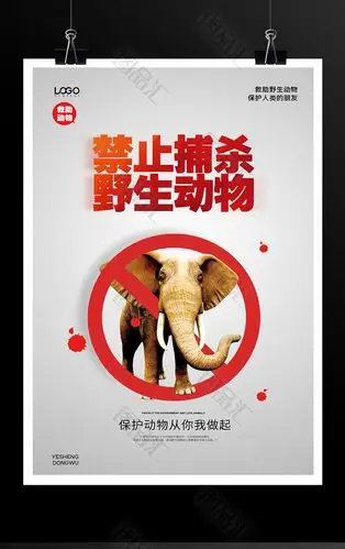 简约时尚禁止捕杀野生动物公益宣传海报