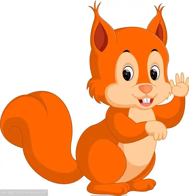 卡通可爱的松鼠
