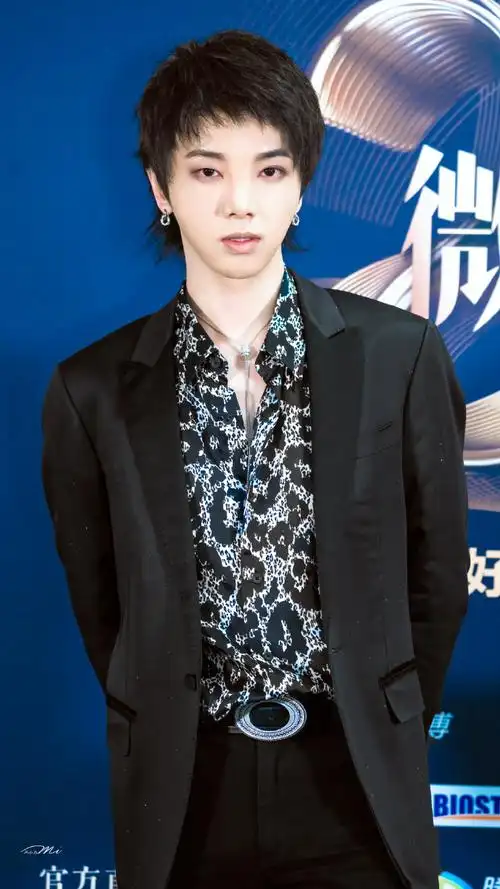 华晨宇好绝一男的可盐可甜还有才华