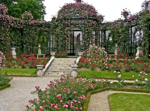 生活| 7个最梦幻玫瑰园