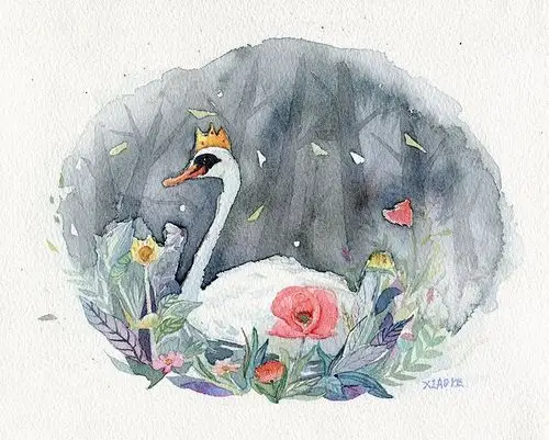 插画##水彩##手绘##天鹅##童话