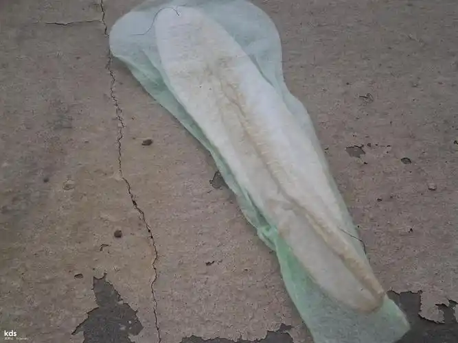 主题:1个月内今天楼上的又把卫生巾扔在我的窗台上了