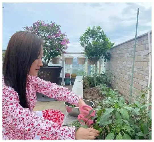 53岁杨钰莹单身一人住豪宅,村姑打扮摘菜也很美,与狗相伴不嫁人_装修