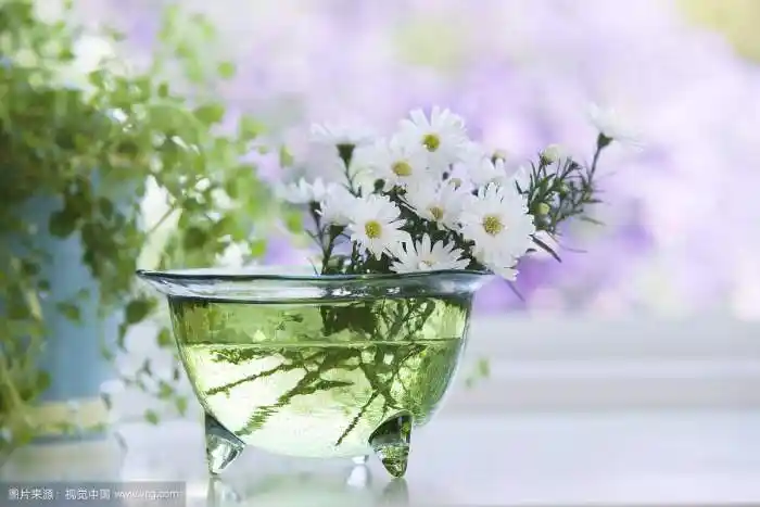 清新治愈生活安静唯美摄影文艺森系植物花卉田园优雅