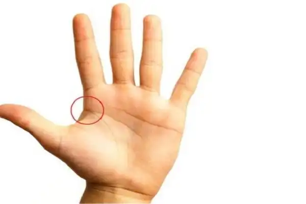 67容易生病短命人的手相特征