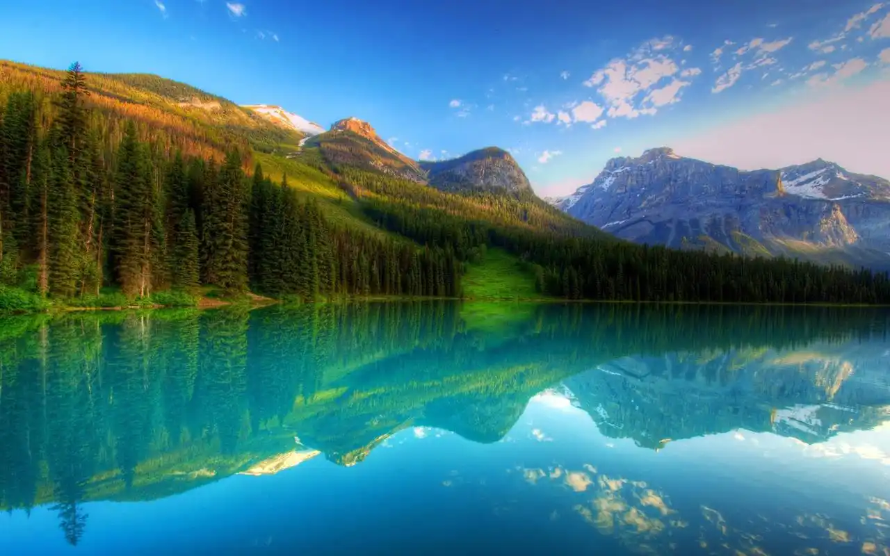 唯美风景绿色护眼桌面壁纸