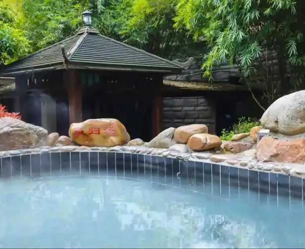 【元旦邀约】吃大餐泡温泉,洗旧迎新就来维景!_明月山_度假_自助餐