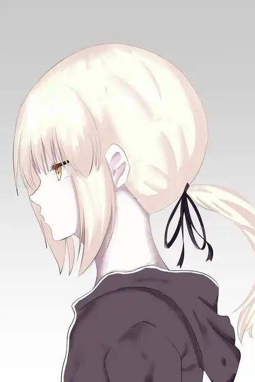セイバーオルタozil的pixiv人物侧脸插画图片