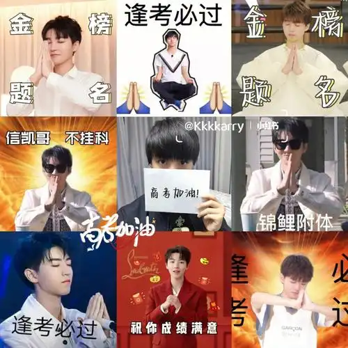 致高考  #高考加油  #高考录取#王俊凯表情包  #2022高考倒计时