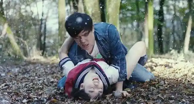 日本伦理电影排行榜 好看的伦理电影大全