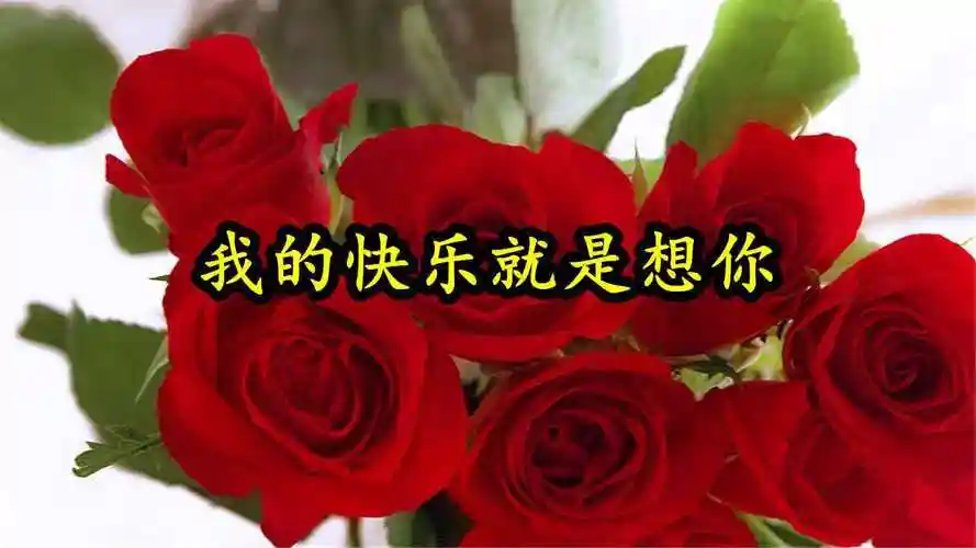 情歌mv我的快乐就是想你你是我的宝贝不让你委屈