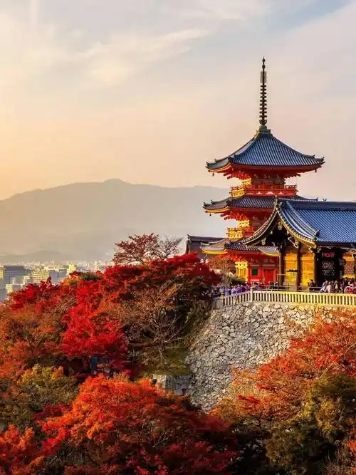 日本旅游丨快收藏!一定要在红叶季去趟日本