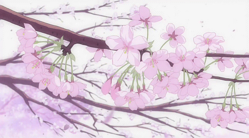 500_278gif 动态图 动图