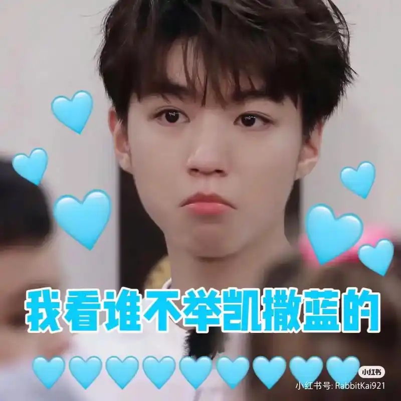 王俊凯粉丝看过来,周年去举蓝979797.#王俊凯 王俊凯粉 - 抖音