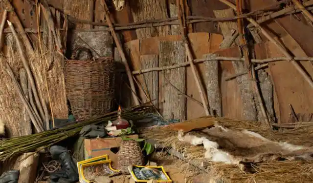 看美国人在原始森林里无拘无束的生活