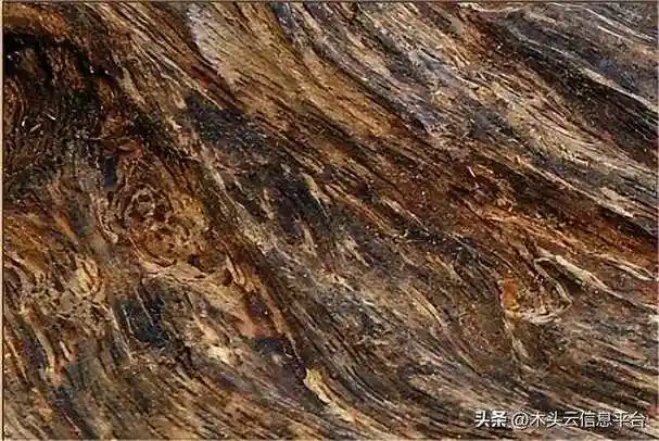 世界上六种价格不菲的木材你见过几个