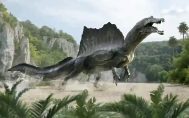 是一种大型兽脚类肉食恐龙,主要生活在白垩纪早期的非洲地区,棘背龙