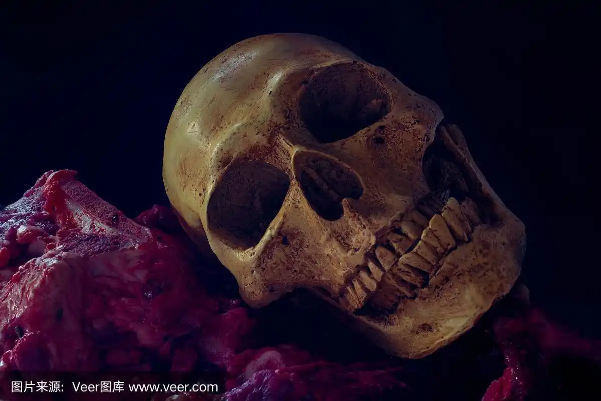 骷髅头和嘴里含血的生肉,静物生活方式