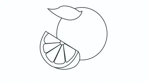 柚子的简笔画怎么画柚子简笔画步骤