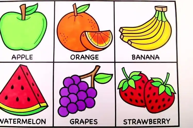 初学者,简单实用100种水果简笔画(100000个食物简笔画)10种不同的水果
