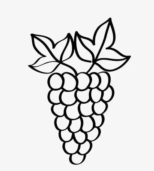 葡萄简笔图片 第1页首页 葡萄简笔画-在线图片欣赏  手绘葡萄矢量图