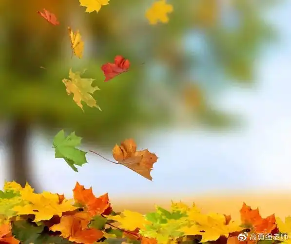 2021年下半年这些人的桃花旺感情好