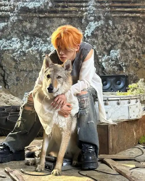 崔然竣五代insking