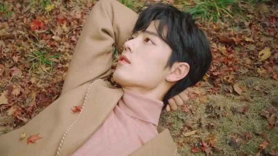 时尚芭莎|肖战 - 堆糖,美图壁纸兴趣社区