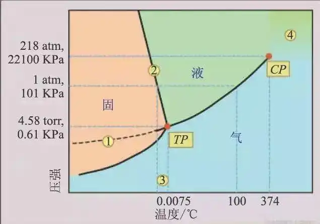 图8是一般热力学教科书中简化的水的p—t相图,其气液固三相共存的点