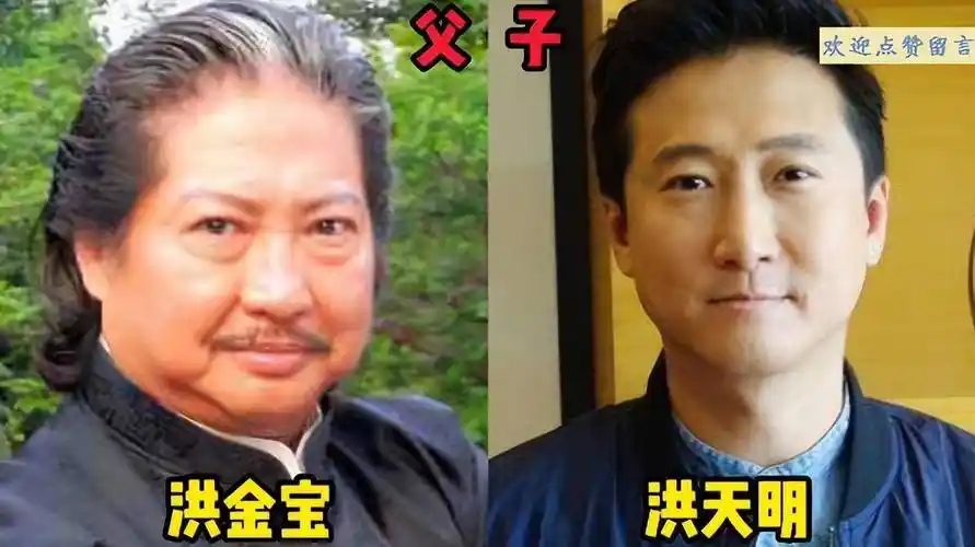 甄子丹大儿长相像父亲,八两金,徐少强父子用一张脸_洪天明_洪金宝