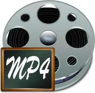 mp4标志