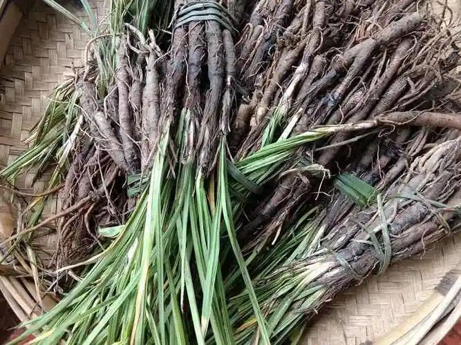 仙茅,仙茅的食用方法大全,仙茅泡酒/养生功效_娜娜经验网