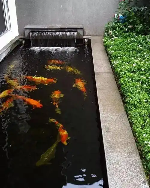 俯视的角度,也是相当精干了这个池子是有形状的,各位看出来没?