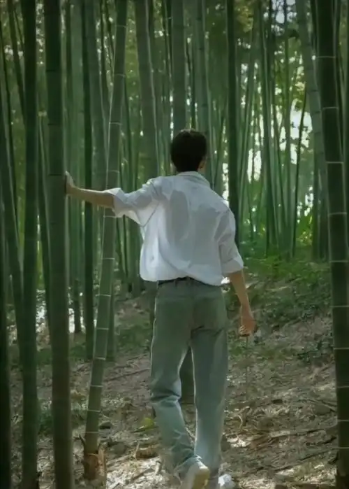 肖战超话背影#肖战