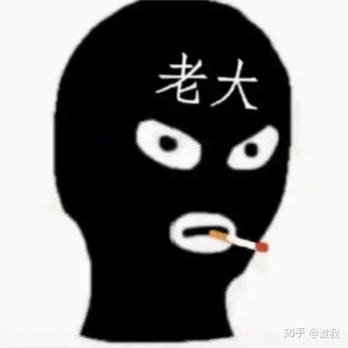 劫匪头套表情包? - 知乎